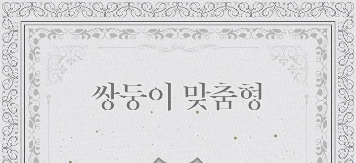 쌍둥이 맞춤형 封面