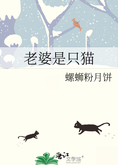 老婆是只猫 封面