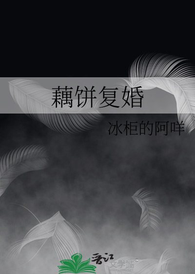 藕饼复婚 封面