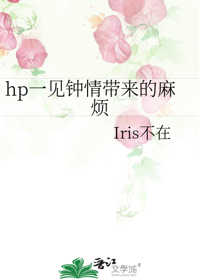 hp一见钟情带来的麻烦 封面