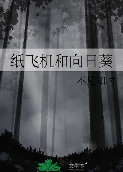 纸飞机和向日葵 封面