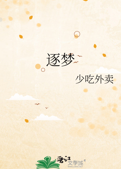 逐梦 封面