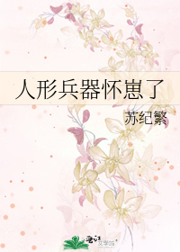 人形兵器怀崽了 封面