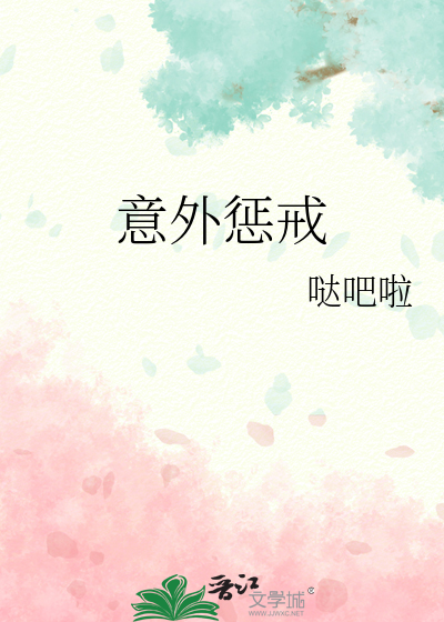 意外惩戒 封面