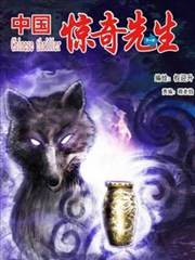中国惊奇先生 封面