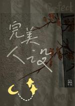 完美人设 封面