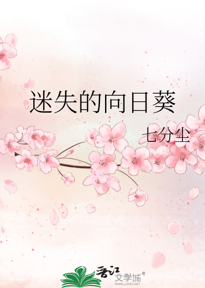 迷失的向日葵 封面