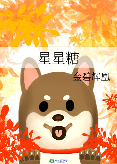 星星糖 封面